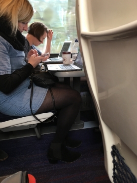 Brit Cunt on the Train